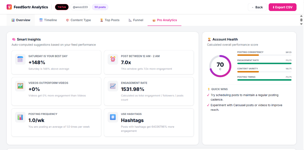 Analytical summary dashboard interface displaying parsed metrics